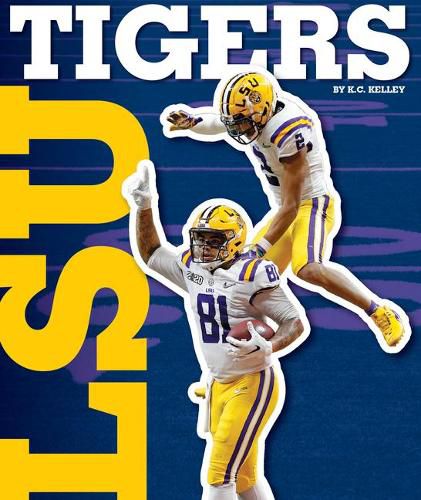 Cover image for Lsu Tigers