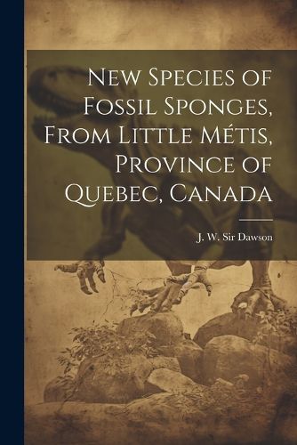 New Species of Fossil Sponges, From Little Metis, Province of Quebec, Canada