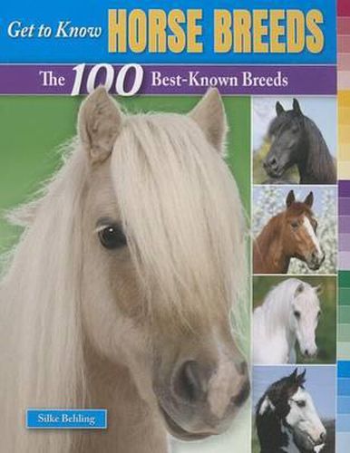 Cover image for Get to Know Horse Breeds: The 100 Best-Known Breeds