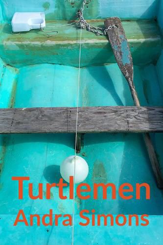 Cover image for Turtlemen