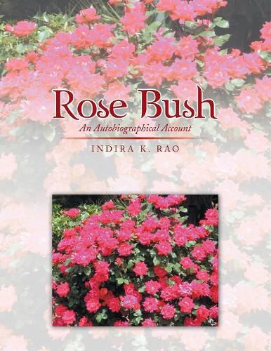 Cover image for Rose Bush