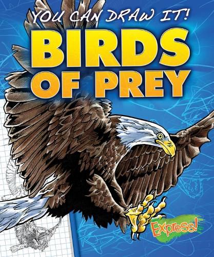 Cover image for Birds of Prey