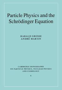 Cover image for Particle Physics and the Schroedinger Equation