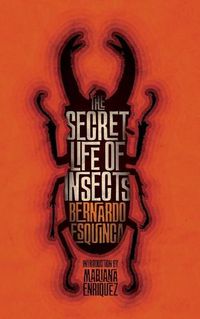 Cover image for The Secret Life of Insects and Other Stories