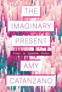 Cover image for The Imaginary Present