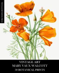 Cover image for Vintage Art: Mary Vaux Walcott 30 Botanical Prints