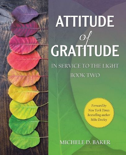 Cover image for Attitude of Gratitude