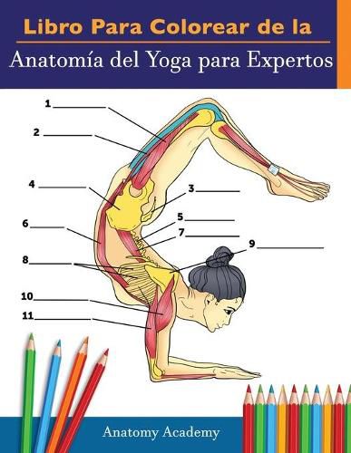 Cover image for Libro Para Colorear de la Anatomia del Yoga para Expertos: 50+ Ejercicios de Colores con Posturas de Yoga Para Principiantes El Regalo Perfecto Para Instructores de Yoga, Maestros y Aficionados