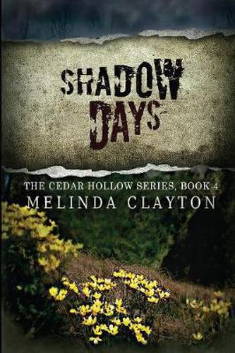 Cover image for Shadow Days