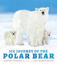 Cover image for Ice Journey of the Polar Bear