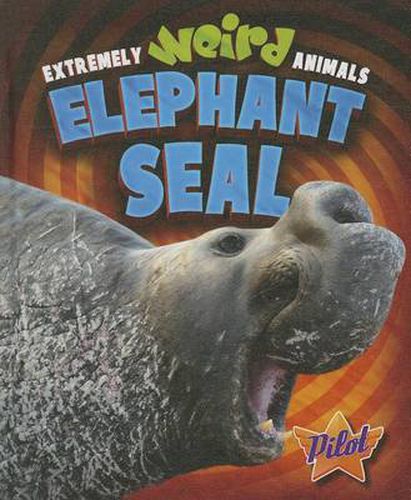 Cover image for Elephant Seal