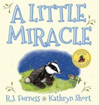 Cover image for A Little Miracle