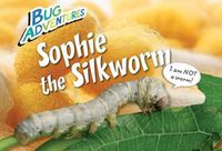 Cover image for Sophie the Silkworm