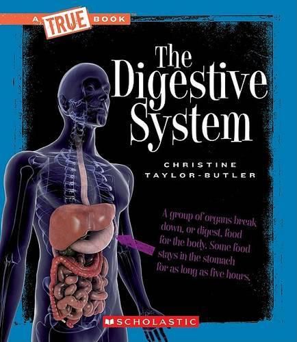 The Digestive System (a True Book: Health and the Human Body)