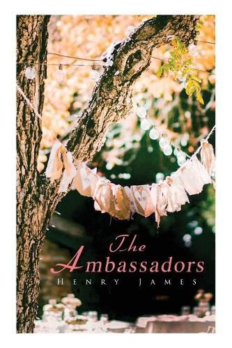 Cover image for The Ambassadors