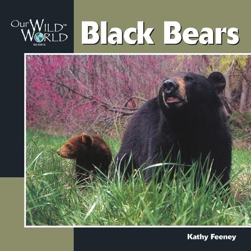 Cover image for Black Bears