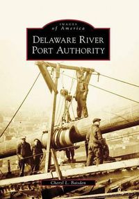 Cover image for Delaware River Port Authority