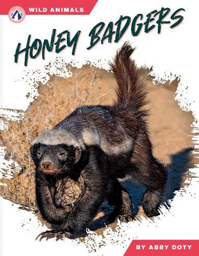 Cover image for Honey Badgers