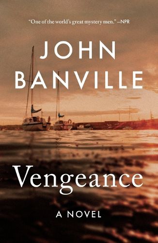 Cover image for Vengeance