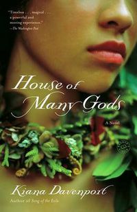Cover image for House of Many Gods