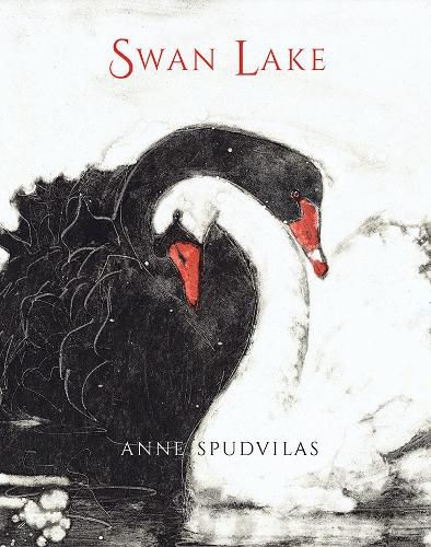 Cover image for Swan Lake