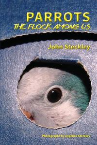 Cover image for Parrots: The Flock Among Us, Deluxe Colour Edition