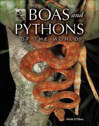 Cover image for Boas and Pythons of the World