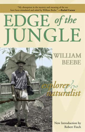 Cover image for Edge of the Jungle