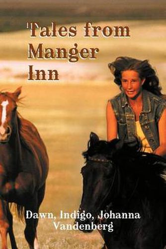 Cover image for Tales from Manger Inn