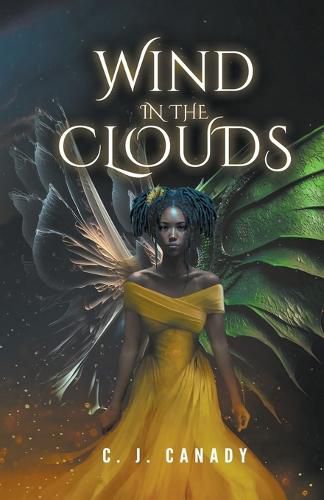 Cover image for Wind in the Clouds