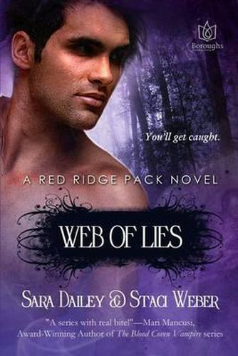 Cover image for Web of Lies