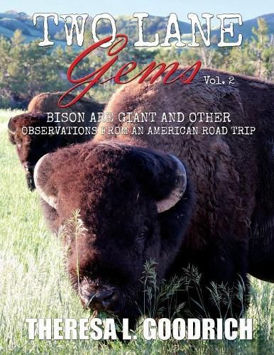 Cover image for Two Lane Gems, Vol. 2: Bison are Giant and Other Observations from an American Road Trip