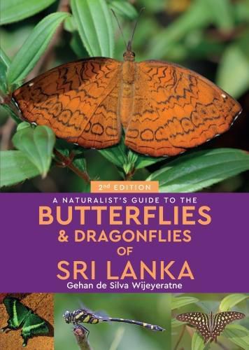 Cover image for A Naturalist's Guide to the Butterflies of Sri Lanka (2nd edition)