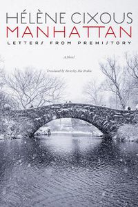 Cover image for Manhattan: Letters from Prehistory