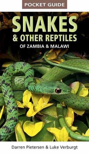 Cover image for Pocket Guide to Snakes & Other Reptiles of Zambia and Malawi