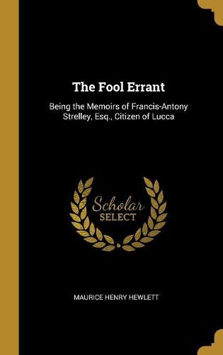 Cover image for The Fool Errant
