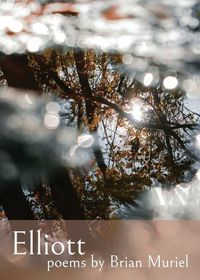 Cover image for Elliott