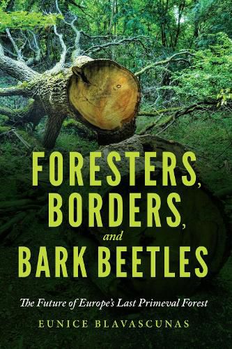 Cover image for Foresters, Borders, and Bark Beetles: The Future of Europe's Last Primeval Forest