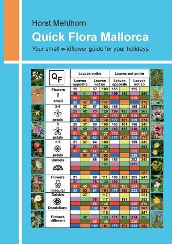 Cover image for Quick Flora Mallorca: Your small wildflower guide for your holidays