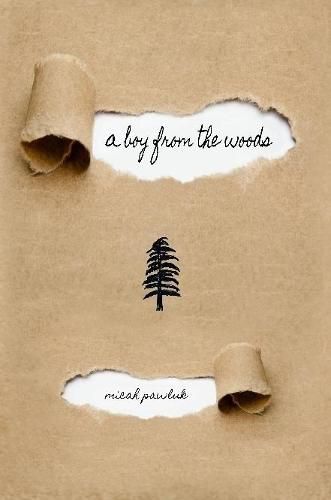 Cover image for A Boy from the Woods