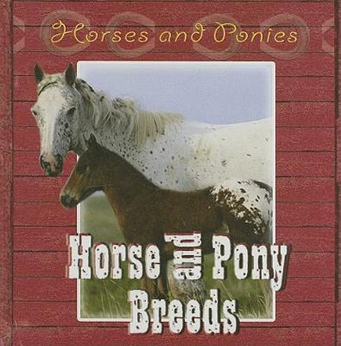 Cover image for Horse and Pony Breeds