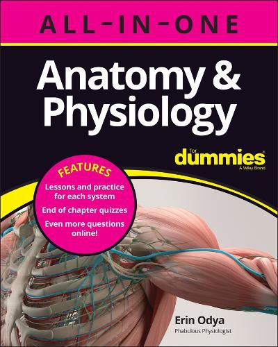 Cover image for Anatomy & Physiology All-in-One For Dummies (+ Cha pter Quizzes Online)