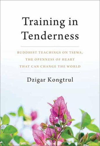 Cover image for Training in Tenderness: Buddhist Teachings on Tsewa, the Radical Openness of Heart That Can Change the World