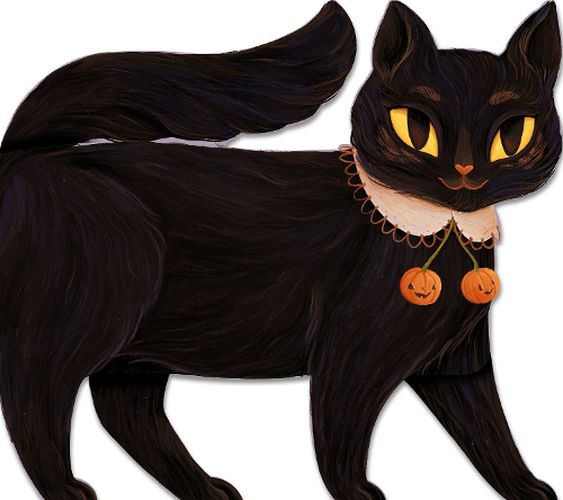 Cover image for One Black Cat