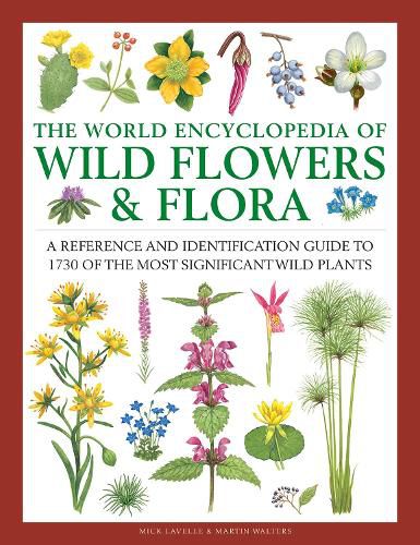 Cover image for Wild Flowers & Flora, The World Encyclopedia of: A reference and identification guide to 1730 of the world's most significant wild plants