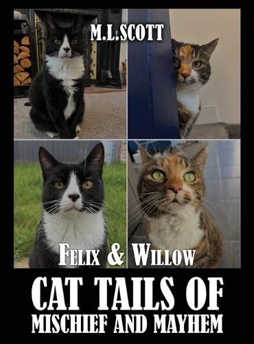 Cover image for Felix & Willow cat tails of mischief and mayhem