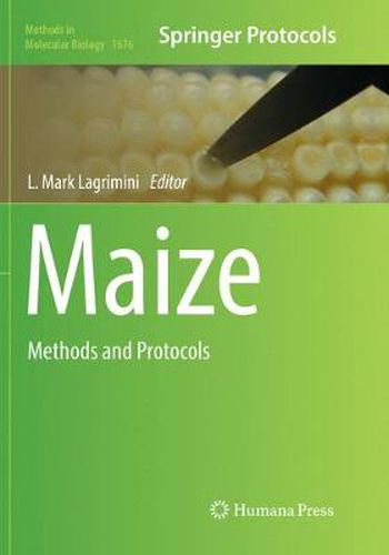 Cover image for Maize: Methods and Protocols