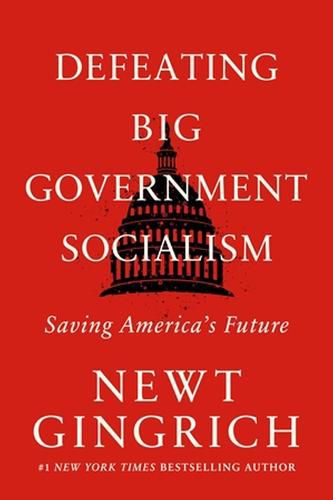 Cover image for Defeating Big Government Socialism