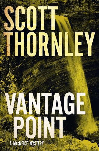 Cover image for Vantage Point: A MacNeice Mystery