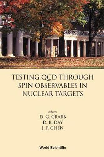 Cover image for Testing Qcd Through Spin Observables In Nuclear Targets